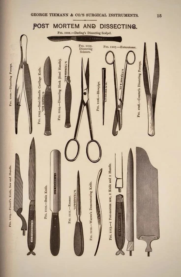 Jacques Joseph — Father of Modern Rhinoplasty
