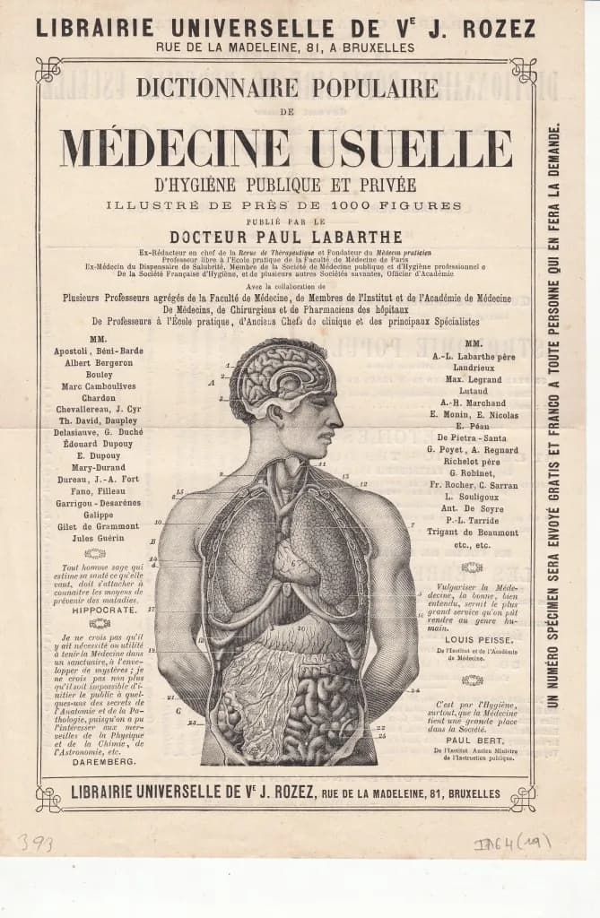 The History of Rhinoplasty: A 2,500-Year Journey from Sushruta to Piezo Surgery